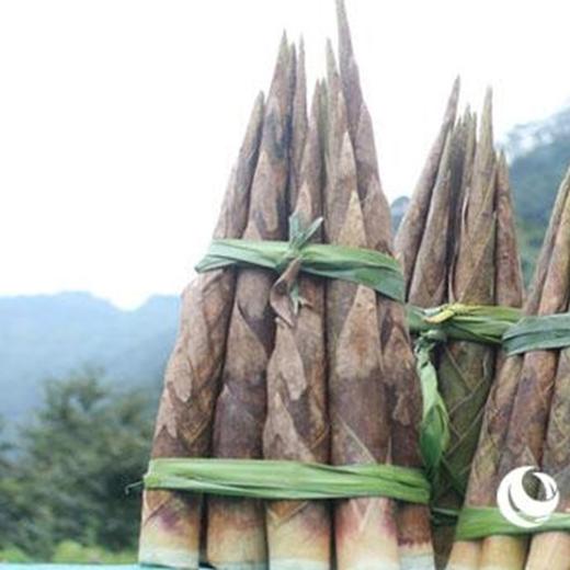 古田黄尖笋干（250克） 商品图3