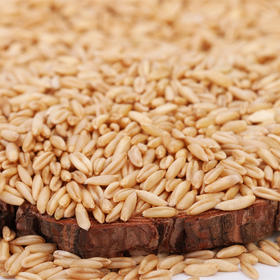 宁夏五谷六盘 燕麦米 450g