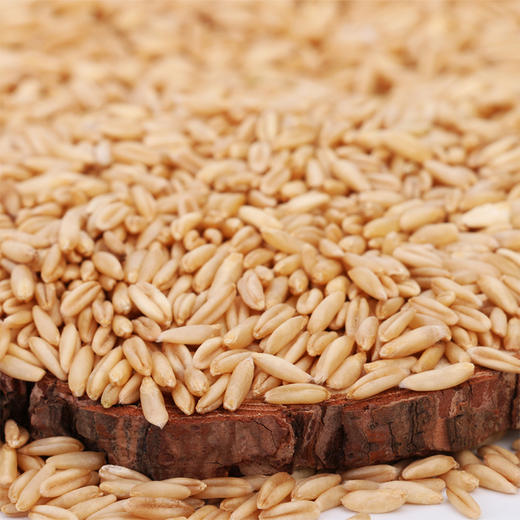 宁夏五谷六盘 燕麦米 450g 商品图0