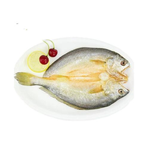 宁德黄瓜鱼 商品图1