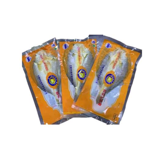 宁德黄瓜鱼 商品图3