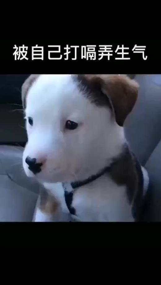 你还挺生气 商品图0