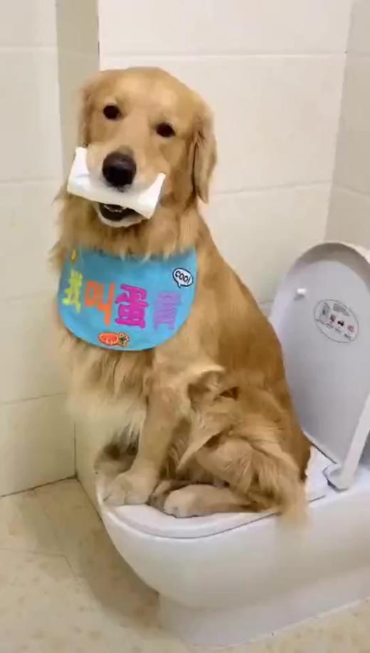 别着急 人家还要再坐一会 商品图0