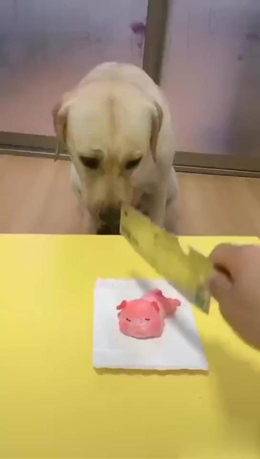 吓坏了宝宝 商品图0