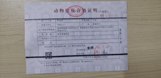 青海清真纯牦牛后腿肉 （20+/-0.5）斤/件 真空冷链包邮 清真溯源源头把关安全放心可靠佰客基 商品图4