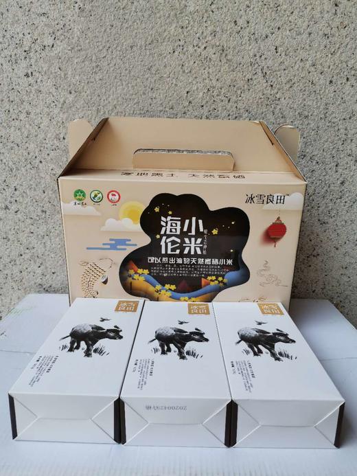 海伦县半亩田/冰雪良田黄小米3kg 商品图4