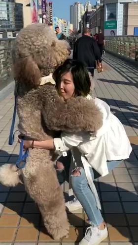 别看我这么大 我也要宝宝