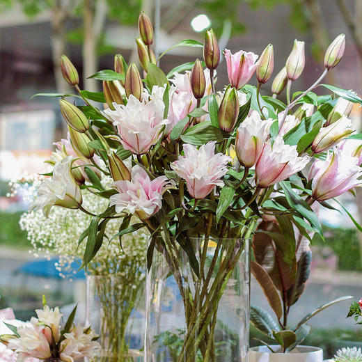 【周四秒杀】伊莎贝拉重瓣百合3枝49.8元 商品图1