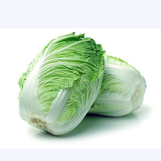 5号白菜500g/包 商品图1