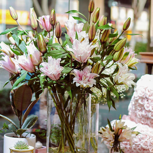 【周四秒杀】伊莎贝拉重瓣百合3枝49.8元 商品图3