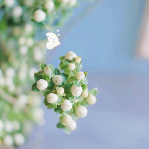 【周四团购】荷兰进口火龙珠一把/59.8元 2人拼团 商品图2