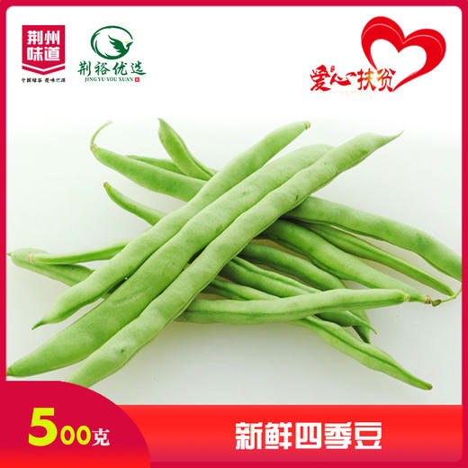 四季豆500g/包 商品图0