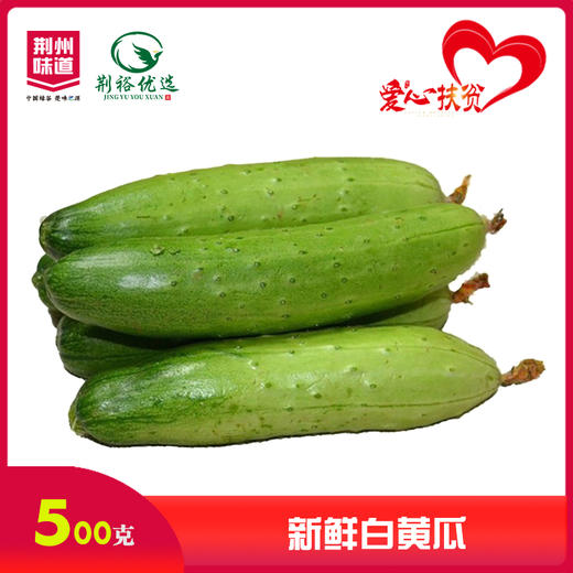 白黄瓜500g/包 商品图0