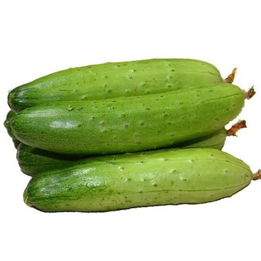 白黄瓜500g/包 商品图1