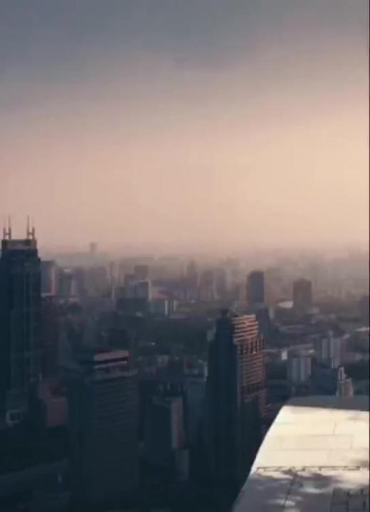 有趣的法律案件 商品图0