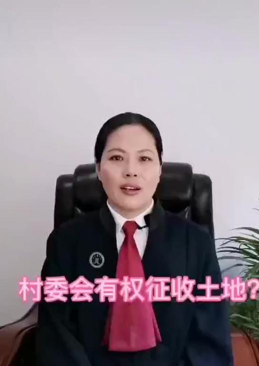 村委会有权征收土地吗 商品图0