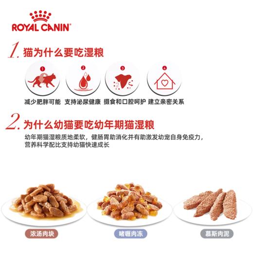 皇家幼年期/成年期全价猫湿粮85g*12包慕斯奶糕罐1-4月龄幼猫 商品图3