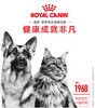 皇家幼年期/成年期全价猫湿粮85g*12包慕斯奶糕罐1-4月龄幼猫 商品缩略图4