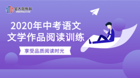 2020年中考文学作品阅读专练（八）未接来电等5篇