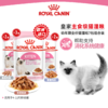 皇家幼年期/成年期全价猫湿粮85g*12包慕斯奶糕罐1-4月龄幼猫 商品缩略图1