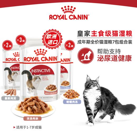 皇家幼年期/成年期全价猫湿粮85g*12包慕斯奶糕罐1-4月龄幼猫 商品图6