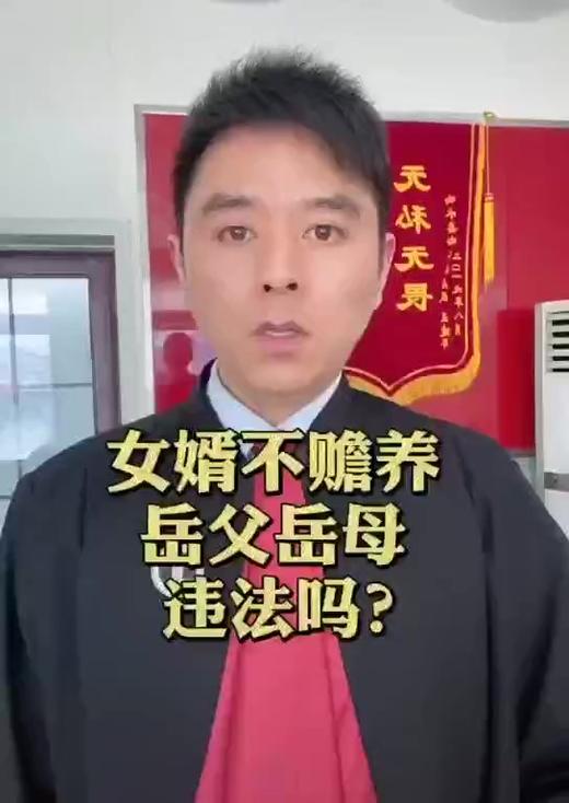 女婿不赡养父母违法吗 商品图0