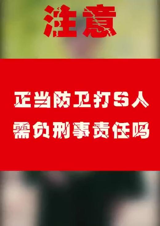 正常防卫打死人要负刑事责任吗 商品图0