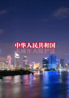 未成年人保护法