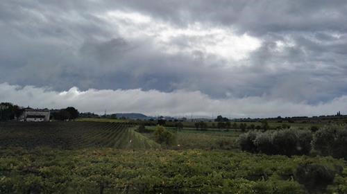 葡萄酒的“天灾人祸” 商品图0