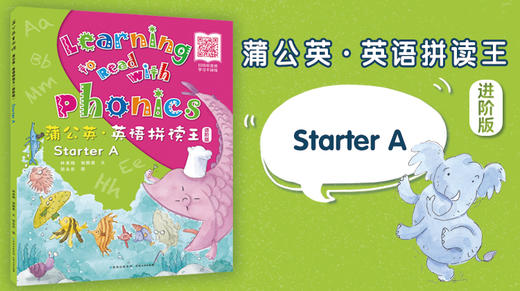 Starter A 商品图0