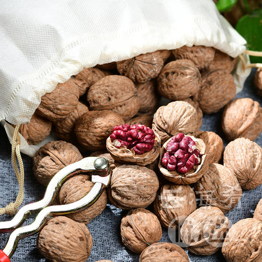 【云南澜沧江红衣核桃】红色核桃皮  带壳干核桃  口感香醇细腻  送核桃夹 商品图1