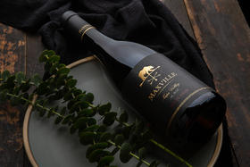 葡萄酒瓶型鉴赏