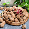 【云南澜沧江红衣核桃】红色核桃皮  带壳干核桃  口感香醇细腻  送核桃夹 商品缩略图3