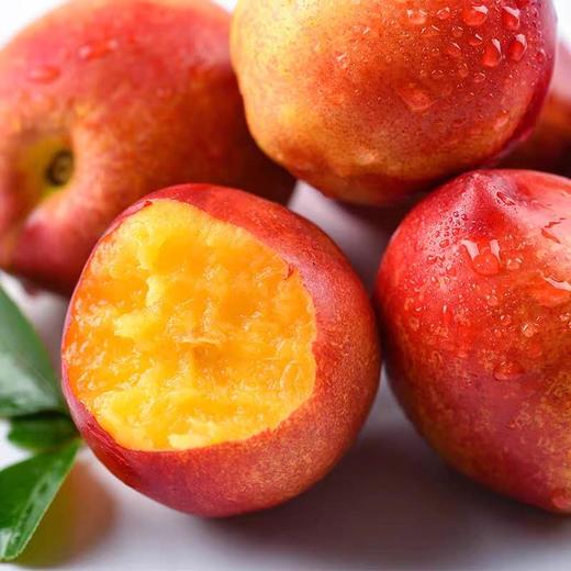 助农顺丰发货山西露天黄肉油桃农家自种鲜油桃果肉香甜浓郁