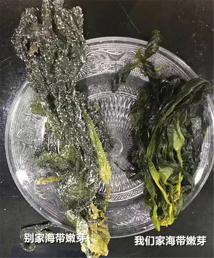 海带5.jpg