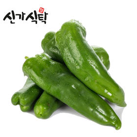 신가식탁 풋고추300g