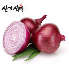 신가식탁 보라색 양파500g