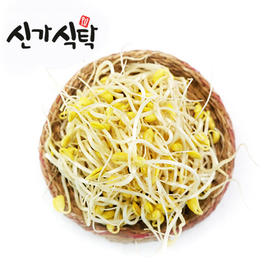 신가식탁 콩나물500g