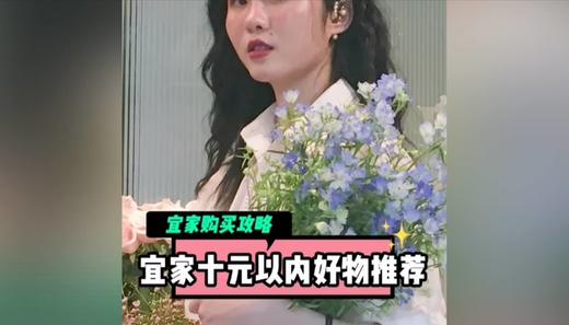 宜家10元好货推荐 商品图0