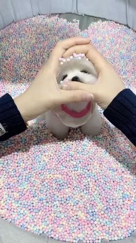 快来签收你的小可爱！