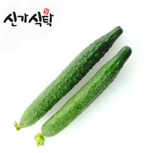 신가식탁 오이300g 商品图0