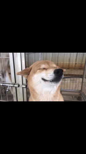 这是我的心啊