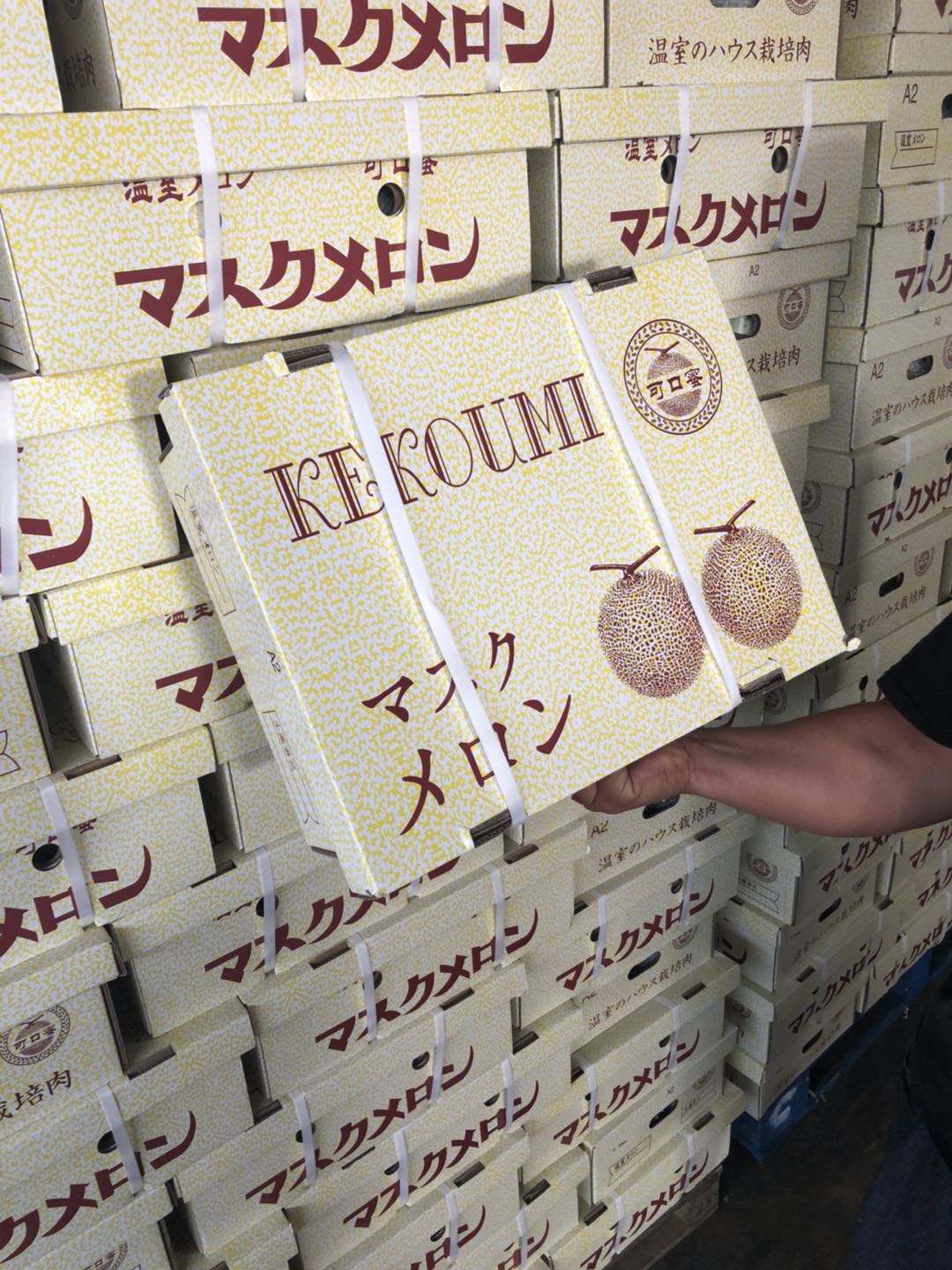 周日秒杀:可口蜜网纹瓜!鲜甜多汁!甜到爆炸!肉超厚!清凉一夏!