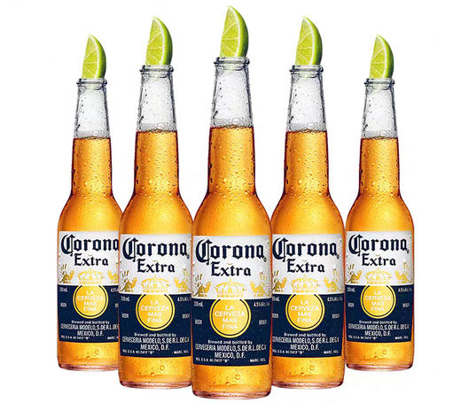 corona科罗娜啤酒300ml瓶6瓶份或24瓶份