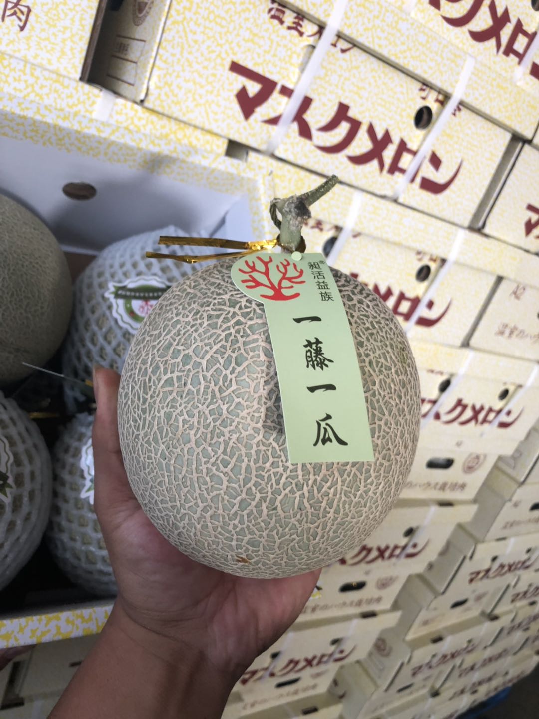 周日秒杀:可口蜜网纹瓜!鲜甜多汁!甜到爆炸!肉超厚!清凉一夏!