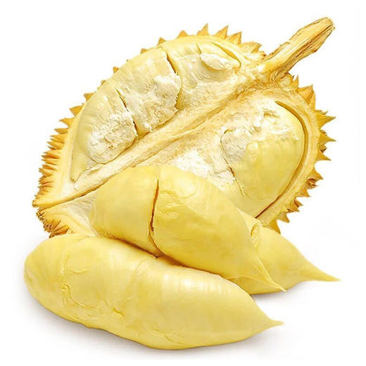 巴掌榴莲 泰国金枕头榴莲一个