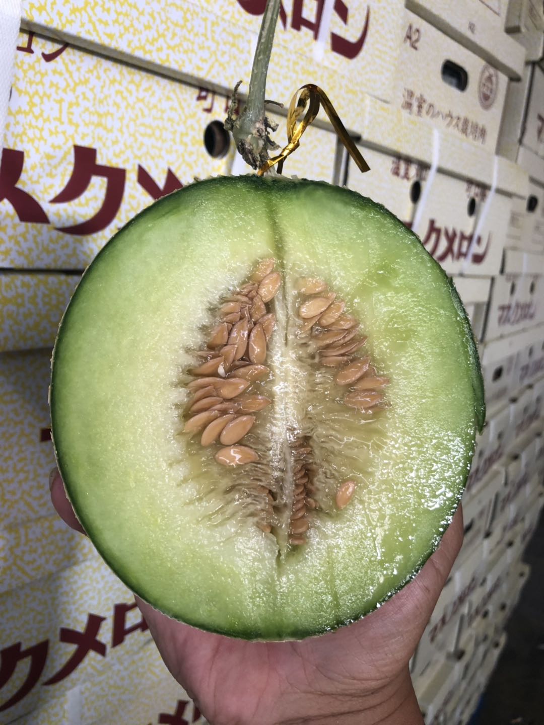 周日秒杀:可口蜜网纹瓜!鲜甜多汁!甜到爆炸!肉超厚!清凉一夏!