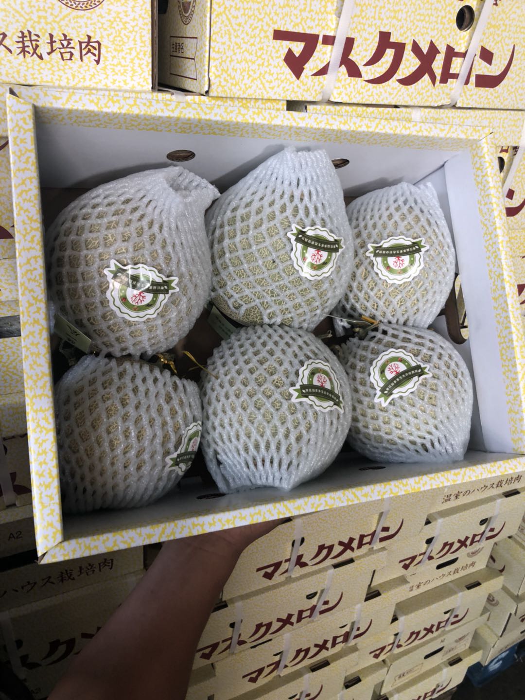 周日秒杀:可口蜜网纹瓜!鲜甜多汁!甜到爆炸!肉超厚!清凉一夏!