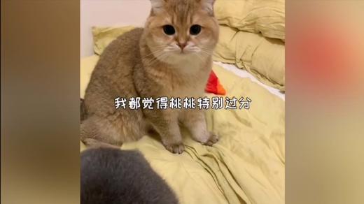 以强欺弱的报应就是自己又回到了弱小阶段 商品图0