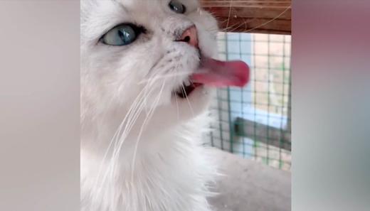 慢动作下才看见你错过了多少水 商品图0